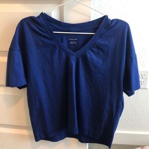 Everlane Organic Cotton Slouchy V-neck.